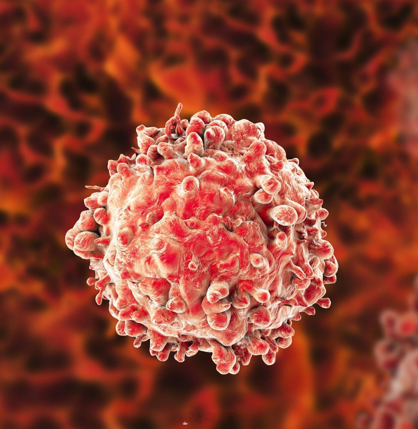 印度泰米尔纳德邦在 2025 年新增了 100097 例癌症病例，首次突破了 1