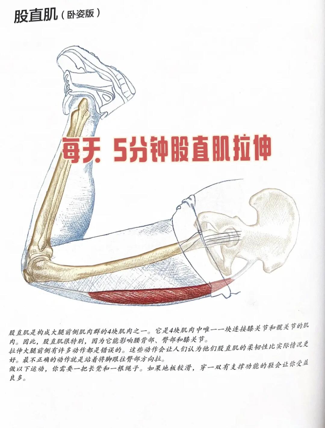 精准拉伸！告别大腿前侧凸起💥