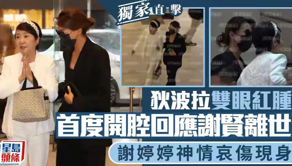 狄波拉这个前妻还是很多管闲事的，现在不是谢贤的谁谁谁，也没有什么身份站在谢贤的身