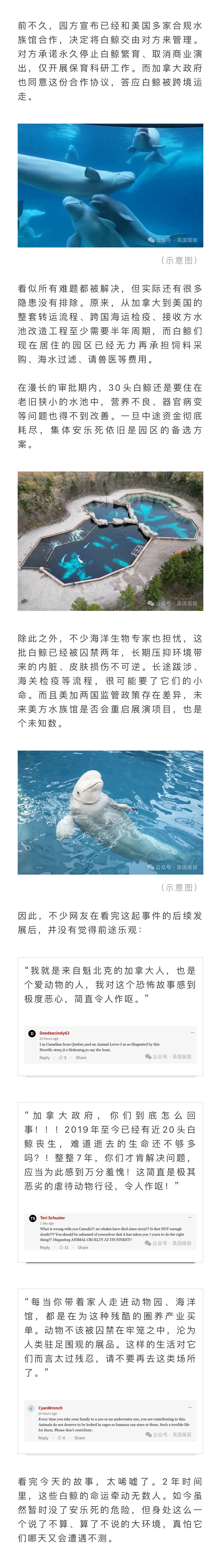 加拿大一海洋公园破产关停两年，30头白鲸被困狭小水池等死，中方曾提出接手却被拒绝