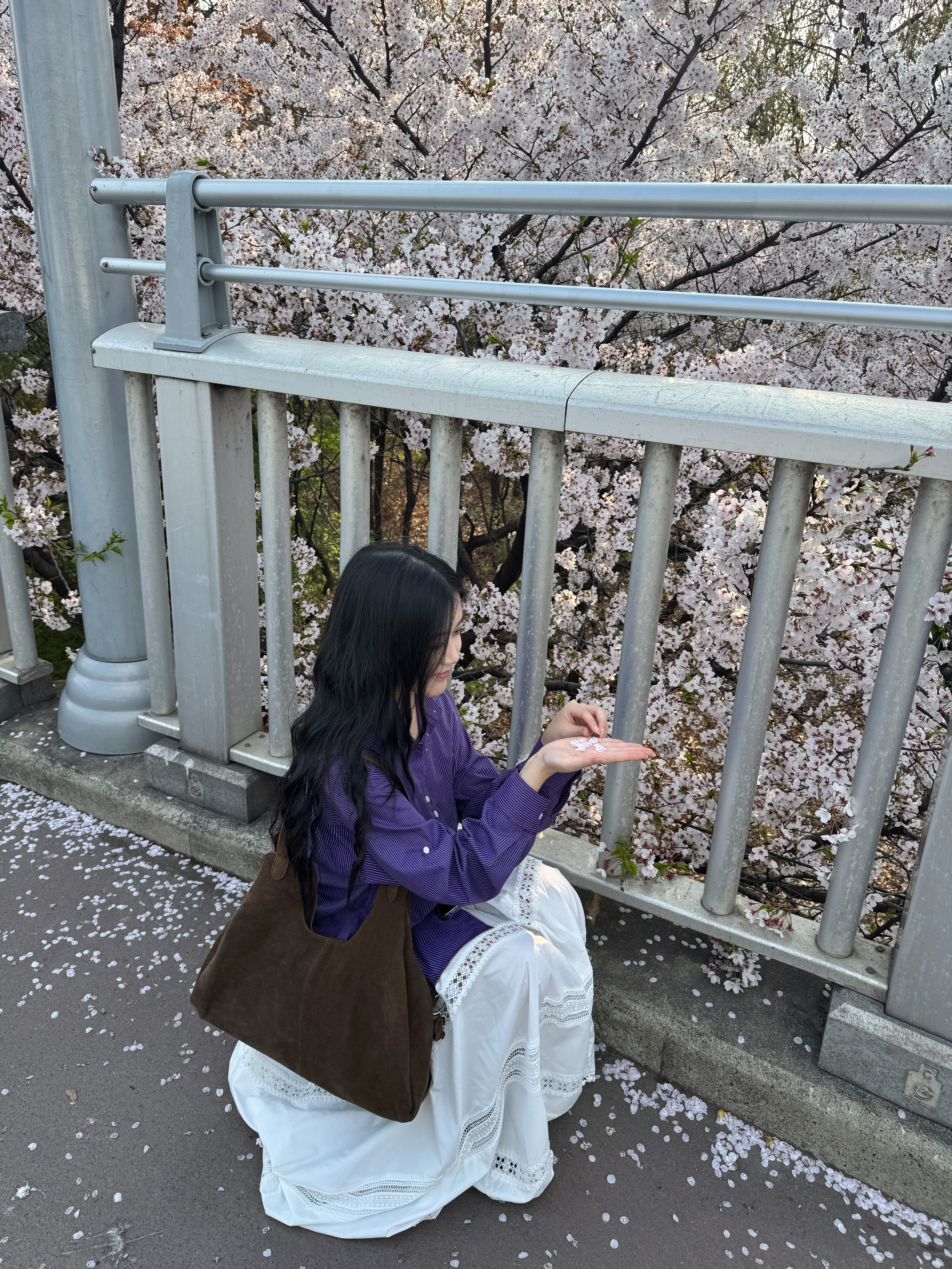 🧏🏻‍♀️🌂⊹❀ ₊ 💟˚࿔樱花开的时候首尔见 ​​​