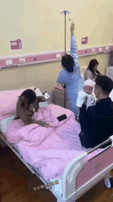 直男。帮忙可以。但专业的人干专业的事。挂水是护士的本职工作，还得由护士来。把护士