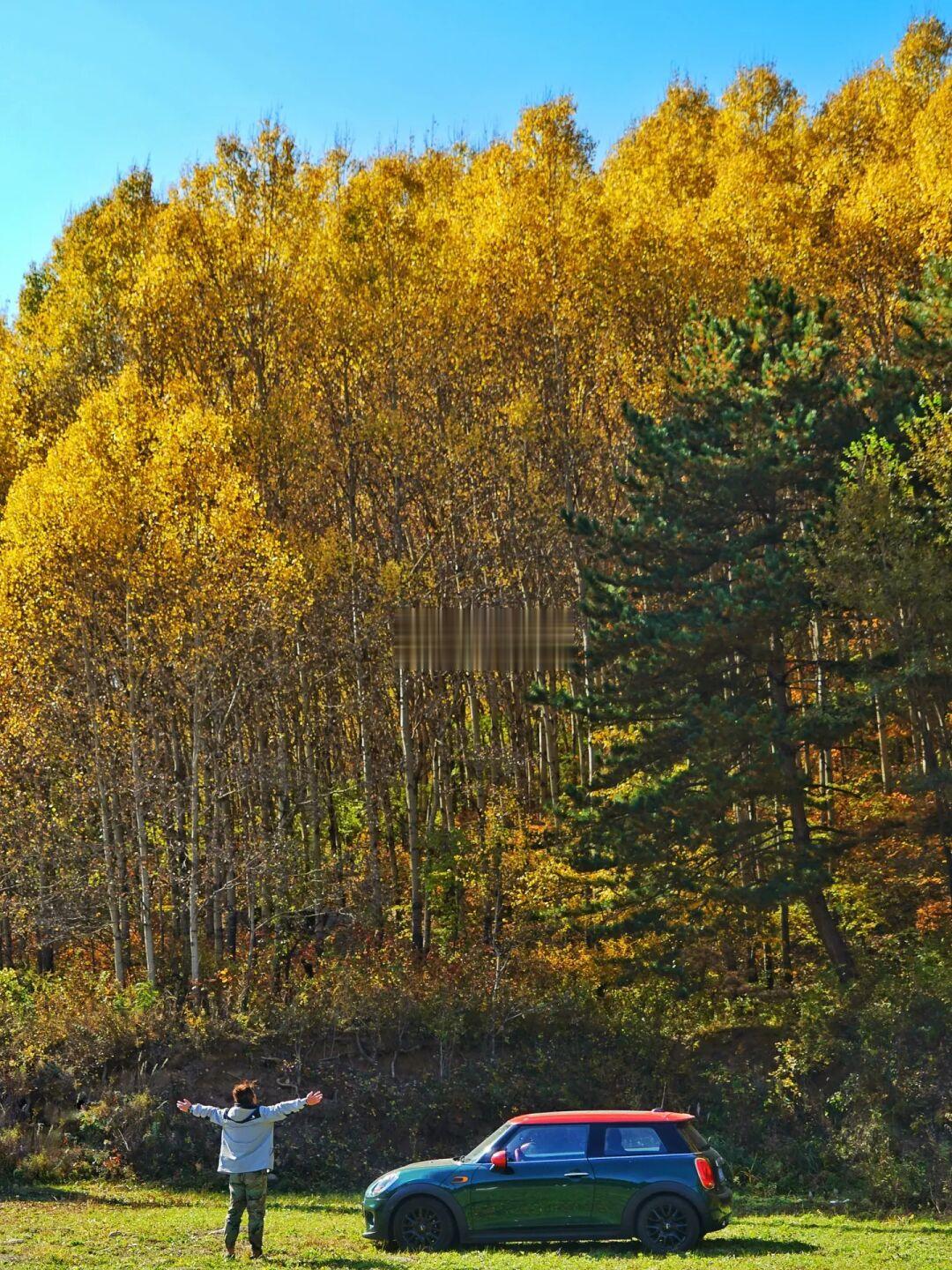 北京“小瑞士”❗️秋天最美🍁不信你跟我来🛻