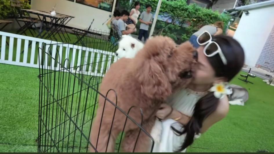 网上流出的一段“疑似泰迪犬咬到美女脸部”的视频，账号ip地址是在泰国。文案这样写