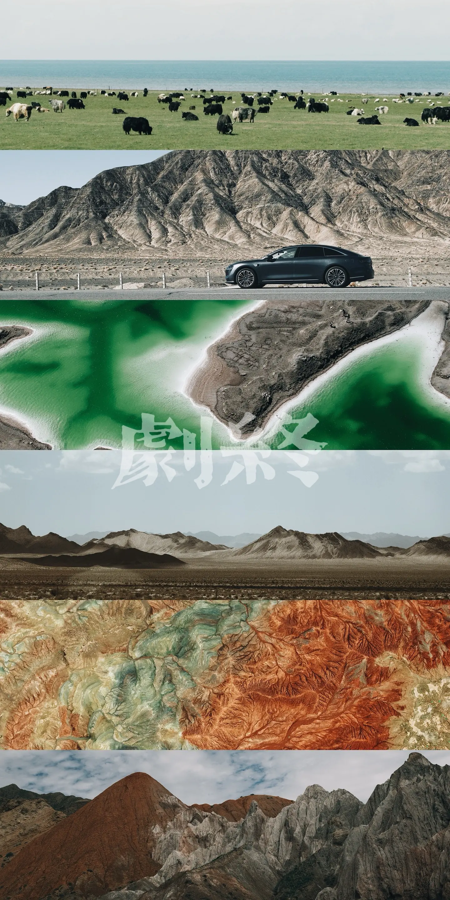 面对这片土地的时 很多时候我眼泪都在眼眶里打转 我也在想为什么会想流泪...