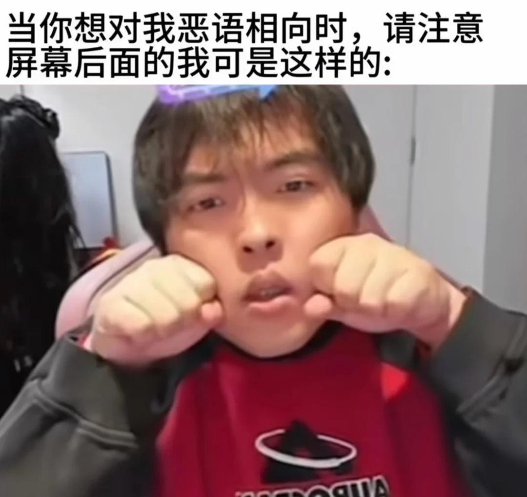 真的要对小茂密说辣么重的话吗？
桃黑黑 表情包 梗图