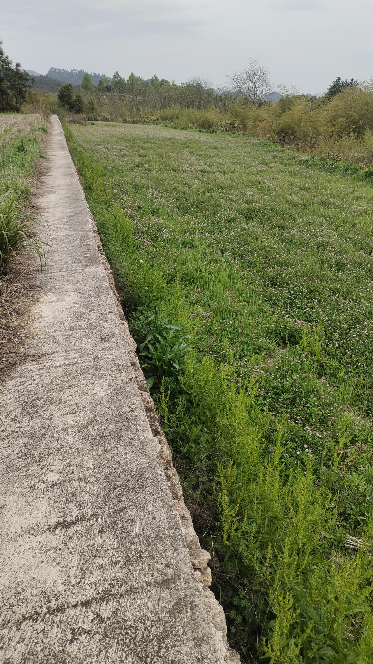 山边田岸几代人用了，有修有补，平安无事，也是农民劳作的基本手段。现在用水泥硬化，
