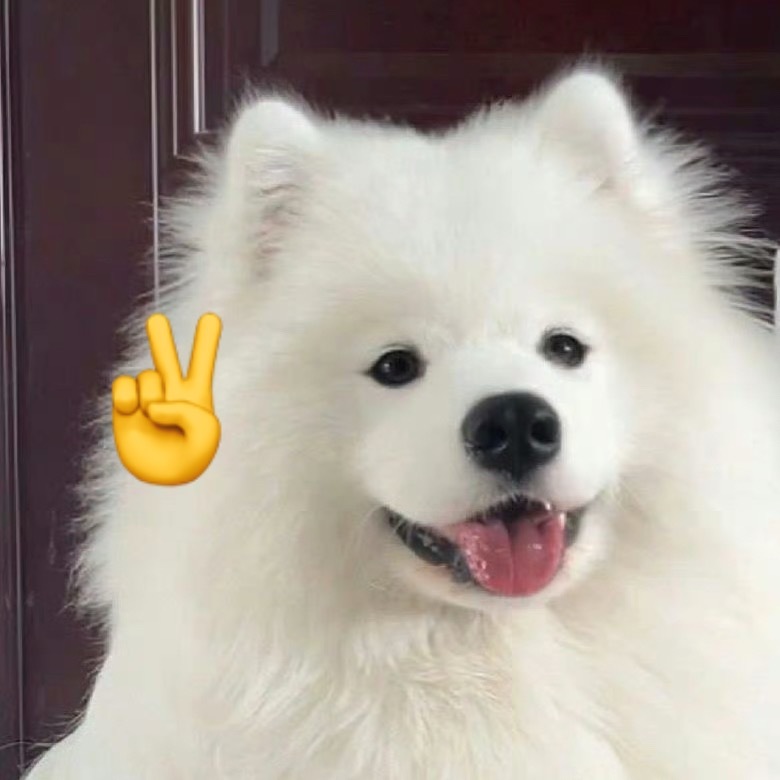 找不同 