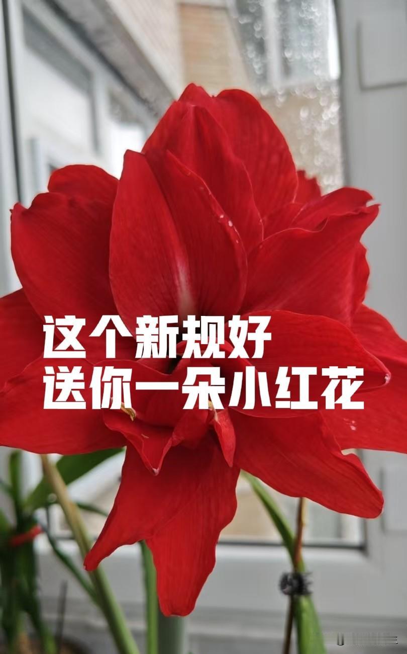 停车61分钟按2小时收费时代再也没有了，新规落地，车主终于不用掐表狂奔了！
  