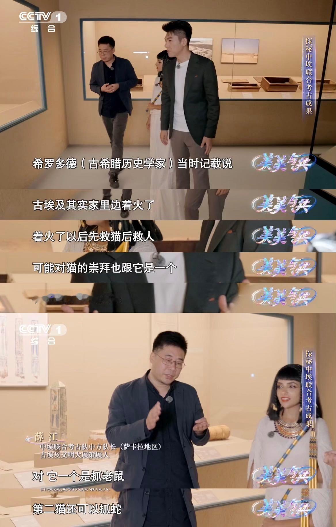 古埃及人都有吸猫DNA吧古埃及房子着火要先救猫 盲盒里的古埃及猫木乃伊，是历史寄
