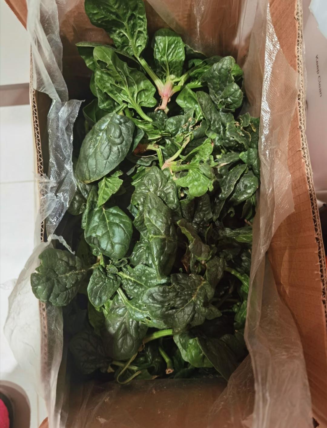 谁能告诉我河南趴地菠菜到底有多好吃?
我是看着网友的评论坐不住买了，但现在发愁怎