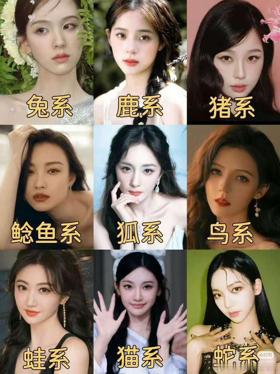 动物系女艺人陈都灵 欧阳娜娜 虞书欣 倪妮  杨幂 张予曦 景甜 柳智敏 ​​​