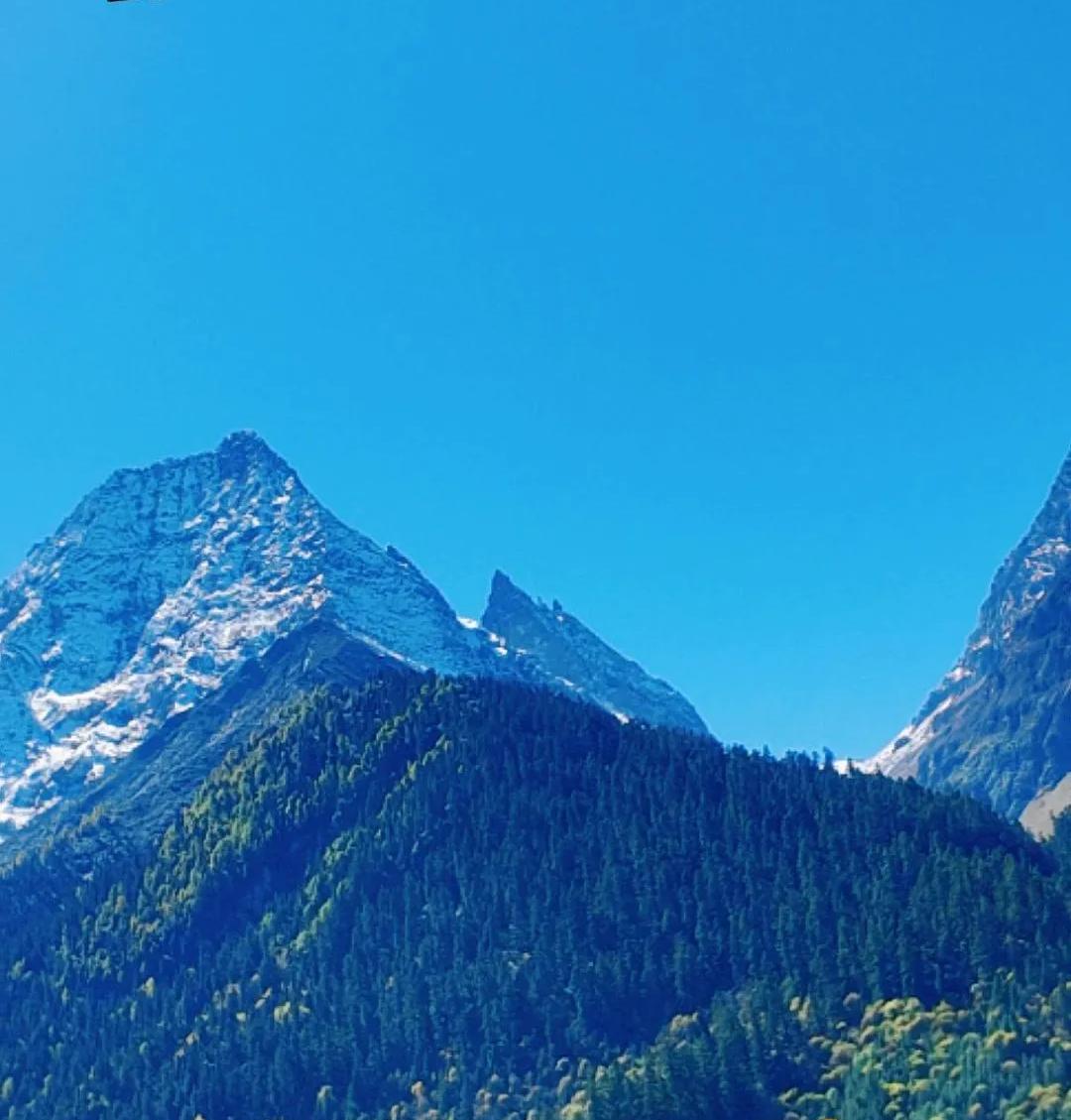 近日湖北恩施两位老人收到假“通缉令”，骗子谎称他们涉特大诈骗案，要求交14.79