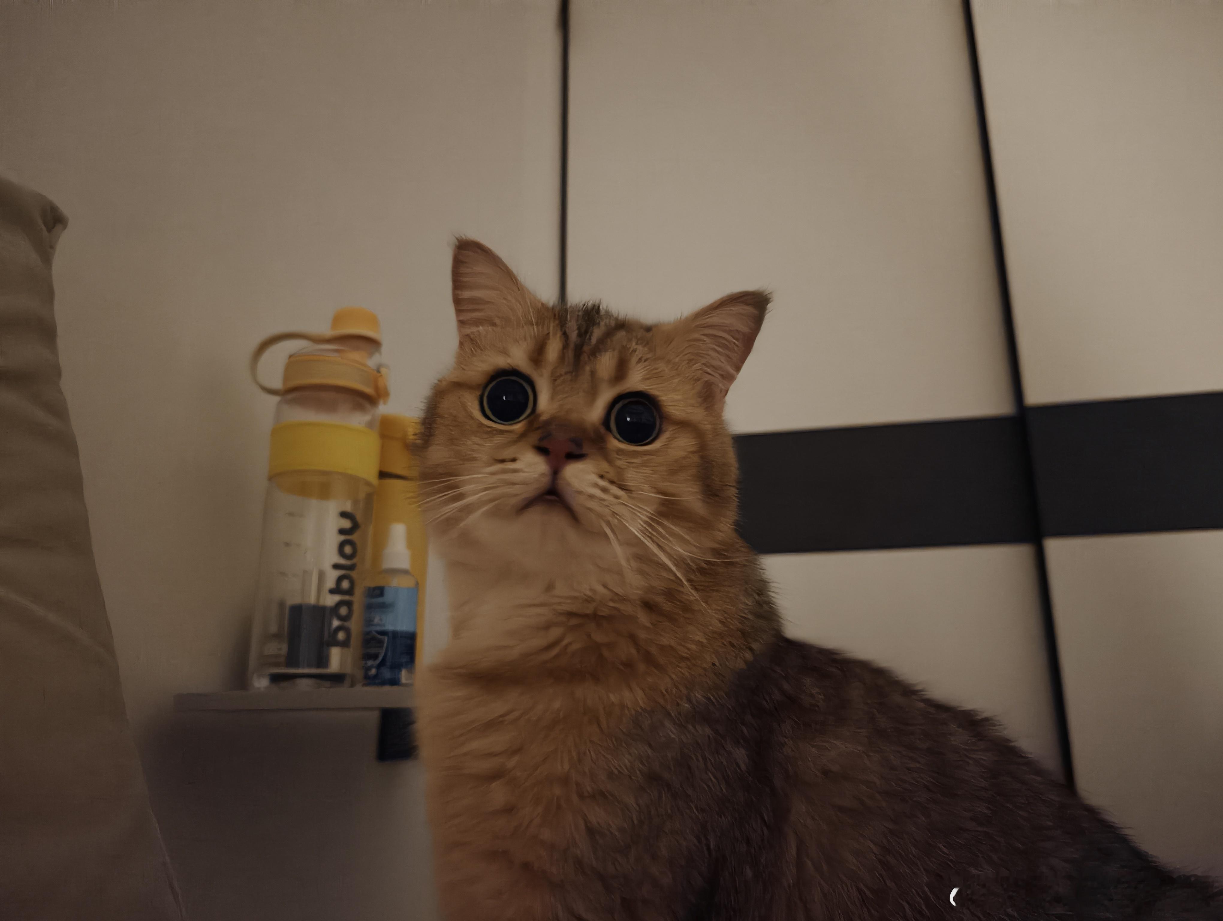 好奇打雷的宝宝怎么这么可爱