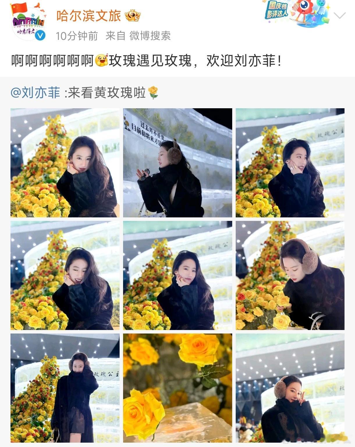 哈尔滨文旅：玫瑰遇见玫瑰，欢迎刘亦菲！一个影视角色，能让大众看到这种花就想到，还