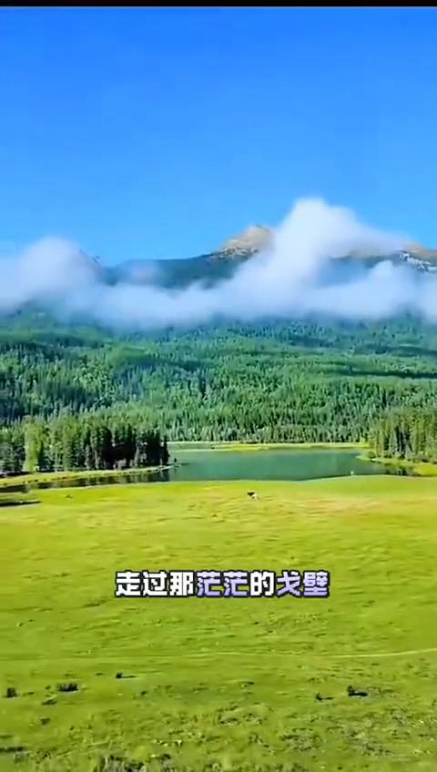 走过那茫茫的戈壁，有一片古老的土地，那就是美丽的伊犁。春天里百花争艳，夏日里牛羊