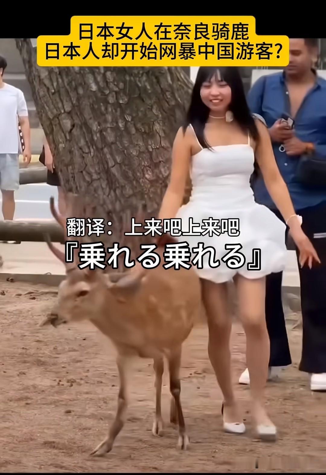 一名日本女性在奈良骑鹿，现场录下了说日语的画面。

但是日本人非要说她是中国人，