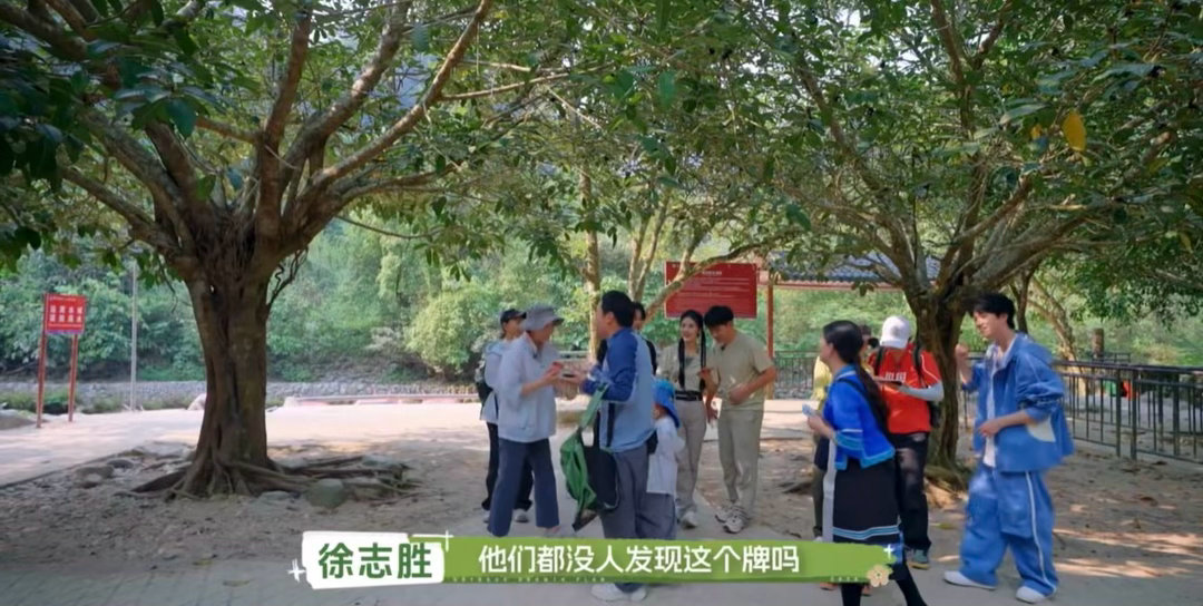 大人教孩子诚实自己却抄近道 徐志胜那段最触动我的不是撕胶布本身，是撕完后那种“我