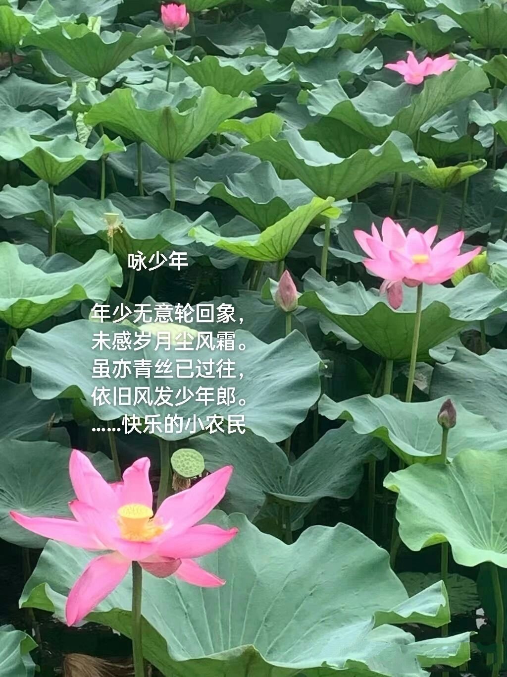 【别等改天，别等有空，就是现在】▲ 别让等待变成遗憾现在就行动你心里一定有这样一