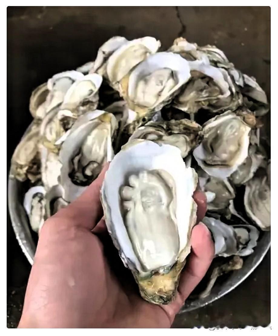 比中彩票概率还低！广东一位做了6年蚝生意的老板，每日处理300斤生蚝，近日竟意外