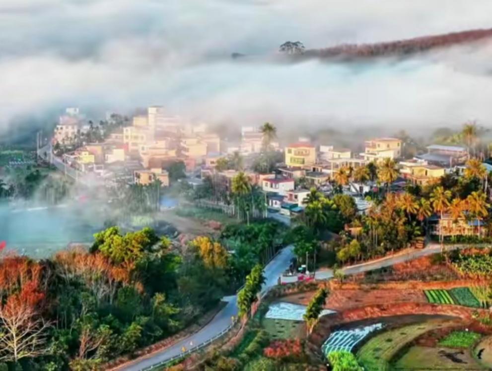 分享一张最近随手拍的照片