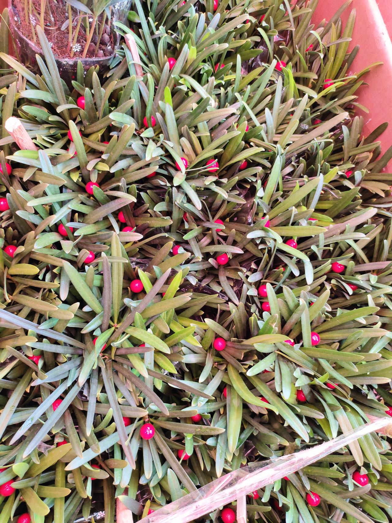 老了才懂的生活铁律：少言少怨，独来独往，守本心才是真
 
人这一辈子，越往后越明