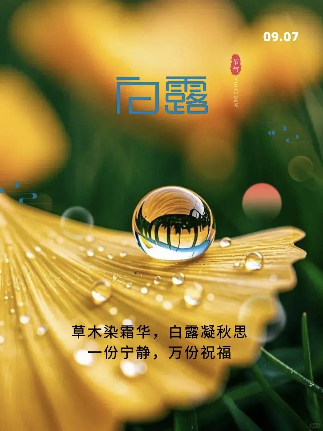 ‌再就是说“白露”身不露‌：意思是“白露”过后就别穿短袖短裤了，因为早晚凉气重，
