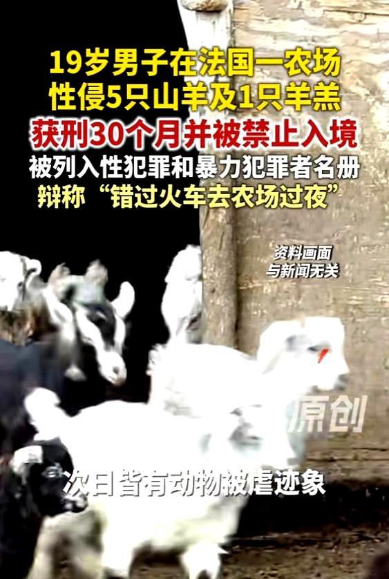 夜里羊圈总有黑影，第二天就有羊受伤，农场主一家一开始还以为是偷羊贼，结果呢，真相