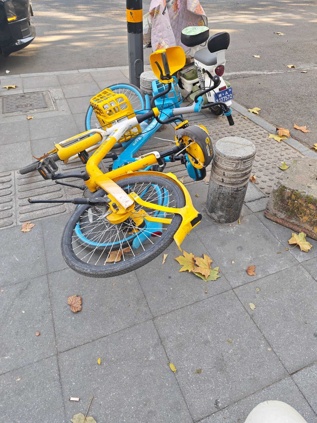 陈震老师早啊，跟大家打个招呼吧。