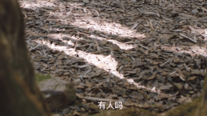 #墨雨云间前夫哥挖的坟填上了#沈玉容碰上司徒九月，他的好日子可算是到头了，凄美惨