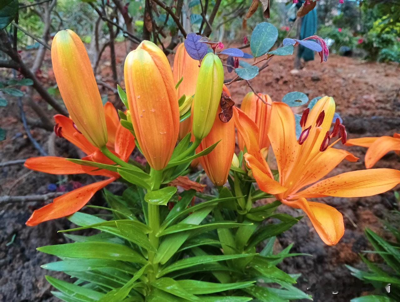 单位组织的老年活动，大家参与的热情怎么不高？

重阳节，单位组织退休人员杭州湾湿