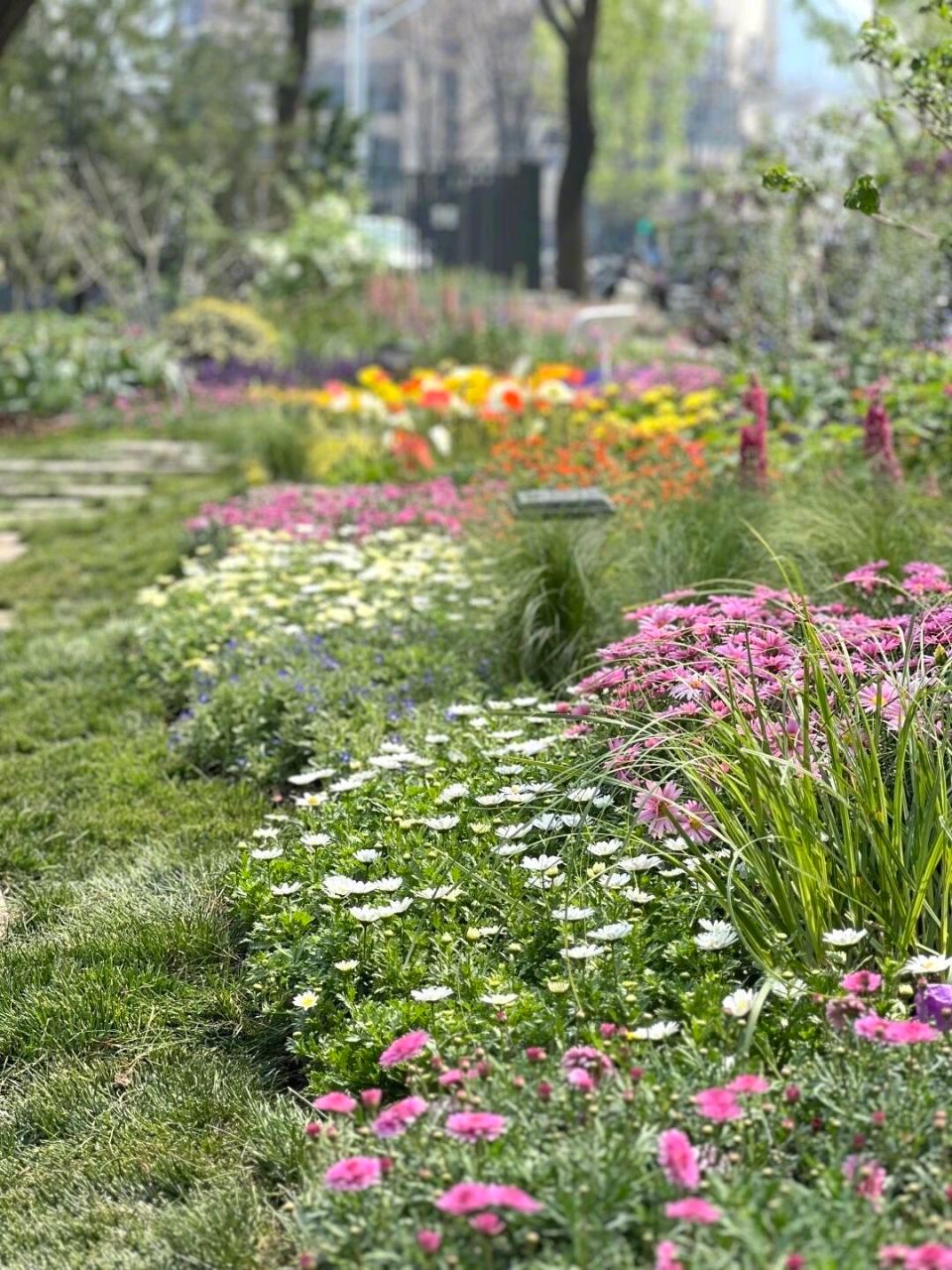 花展最全打卡指南来了北京花境一步一景太美了北京赏花天花板！春日花展氛围感拉满💐
