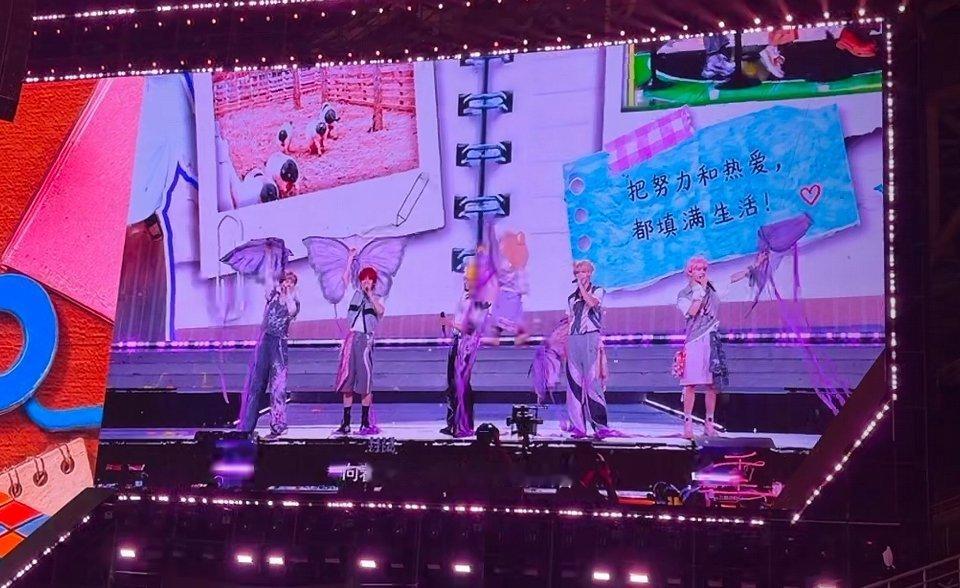 小蝴蝶 ​​​