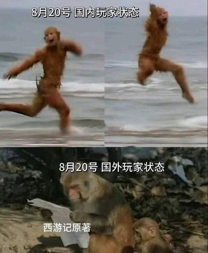 今日最佳，哈哈哈哈 ​​​