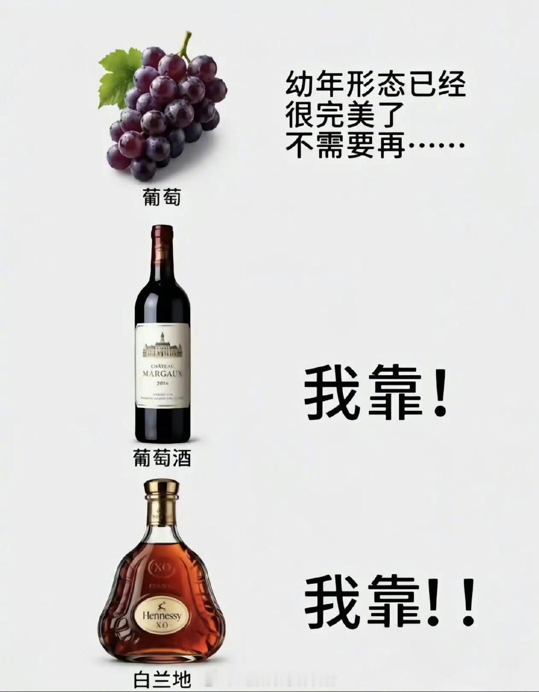 8+1 meme图🍻这些食物怎么历经千帆幻化成美味佳酿的，太善良了生活笑料撞满