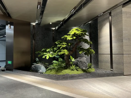 迎客松造景从无到有！