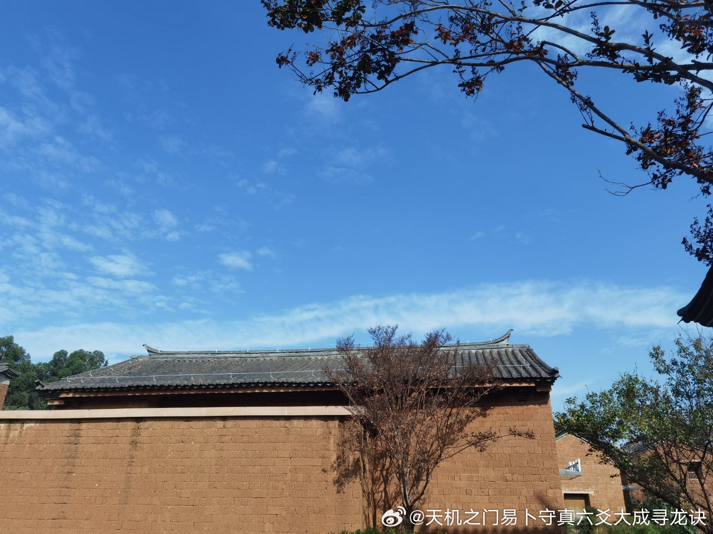 家中长辈下葬新坟后，全家运势急转直下。自身生意惨淡，客源流失，频繁破财损耗；夫妻