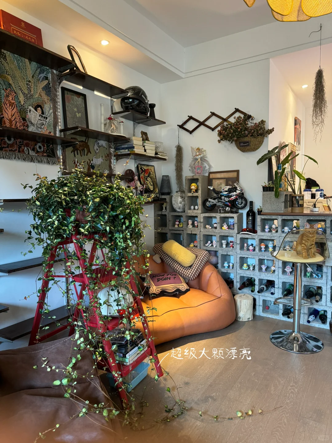养绿化带植物是真高性价比