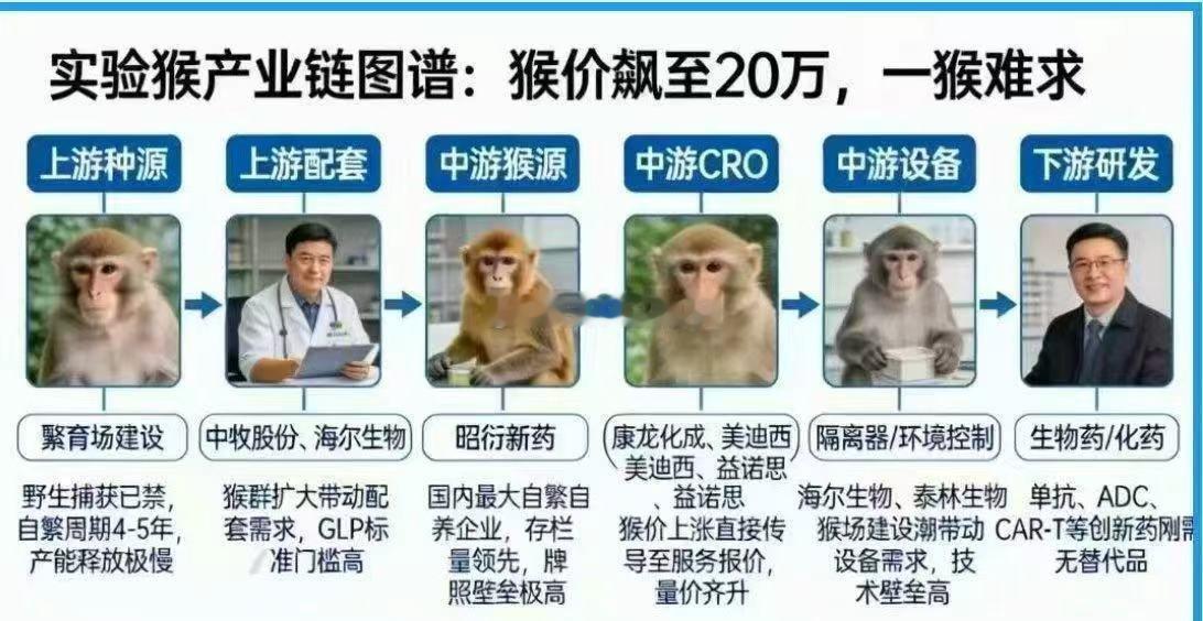时间会证明猴模块，短期缺小猴，长期缺公猴，永远缺母猴。这条☝️建议抄送牧原，为全