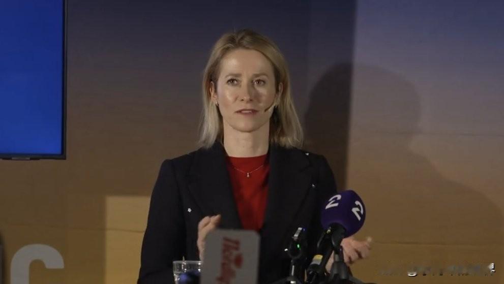 卡拉斯：中国对北极港口和交通枢纽的兴趣与日俱增，这会带来“安全风险”

这个女人