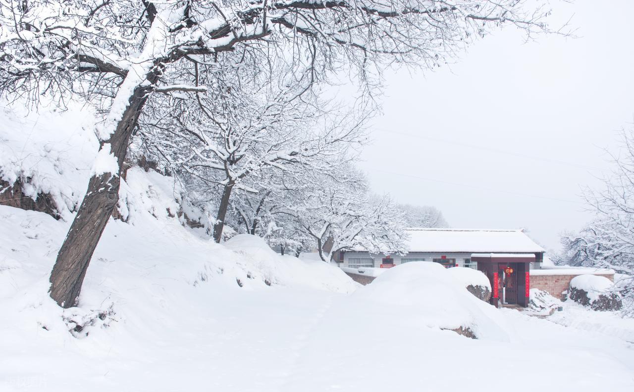 今日大雪，大家要记得：1要吃，2要开，3不睡，4不出，平安过冬！

今天我们正式