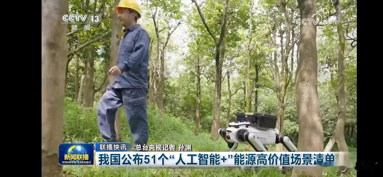 我国公布51个人工智能+能源高价值场景清单