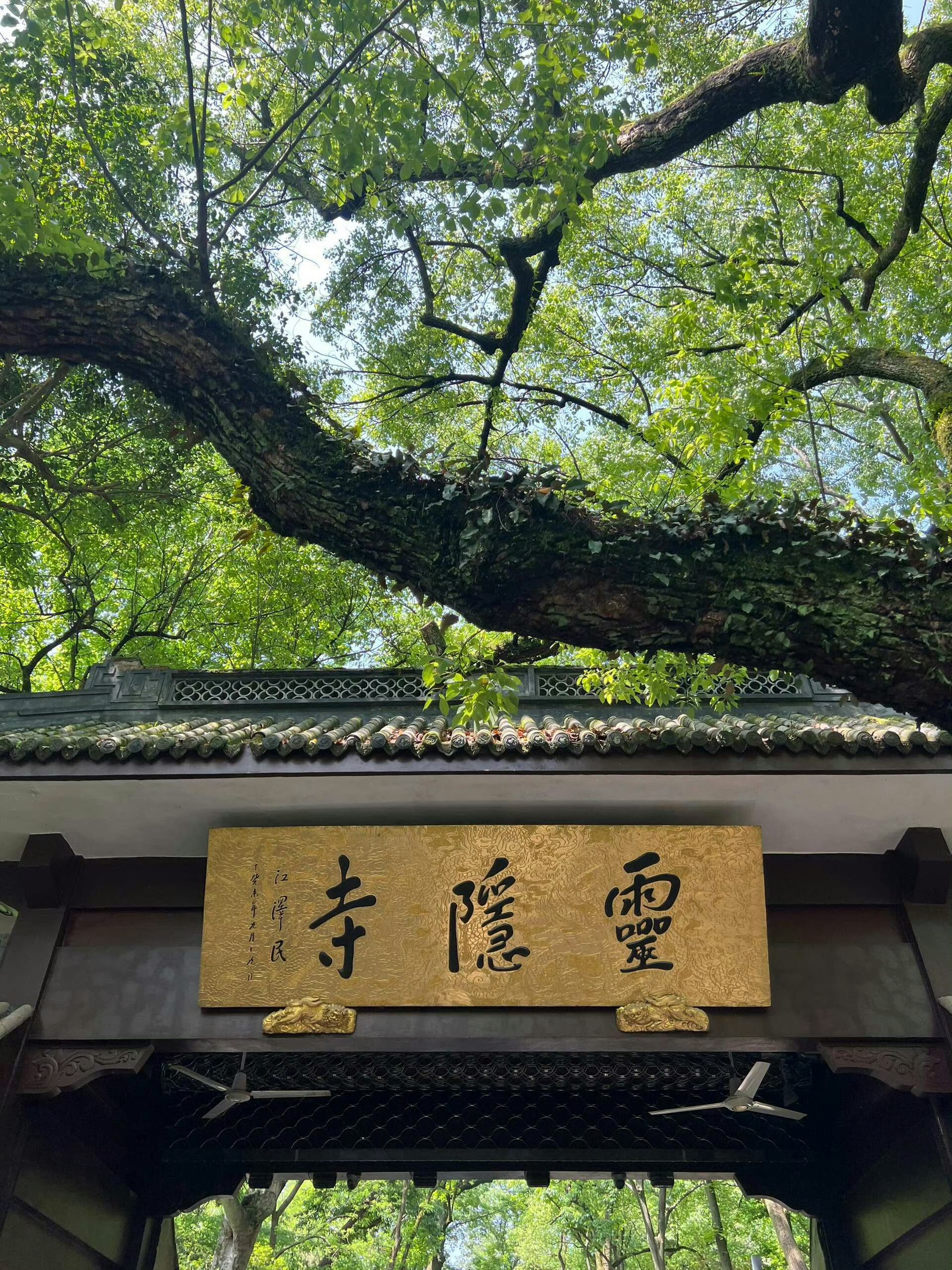 7月刷到灵隐寺千万不要无视说什么都灵 
