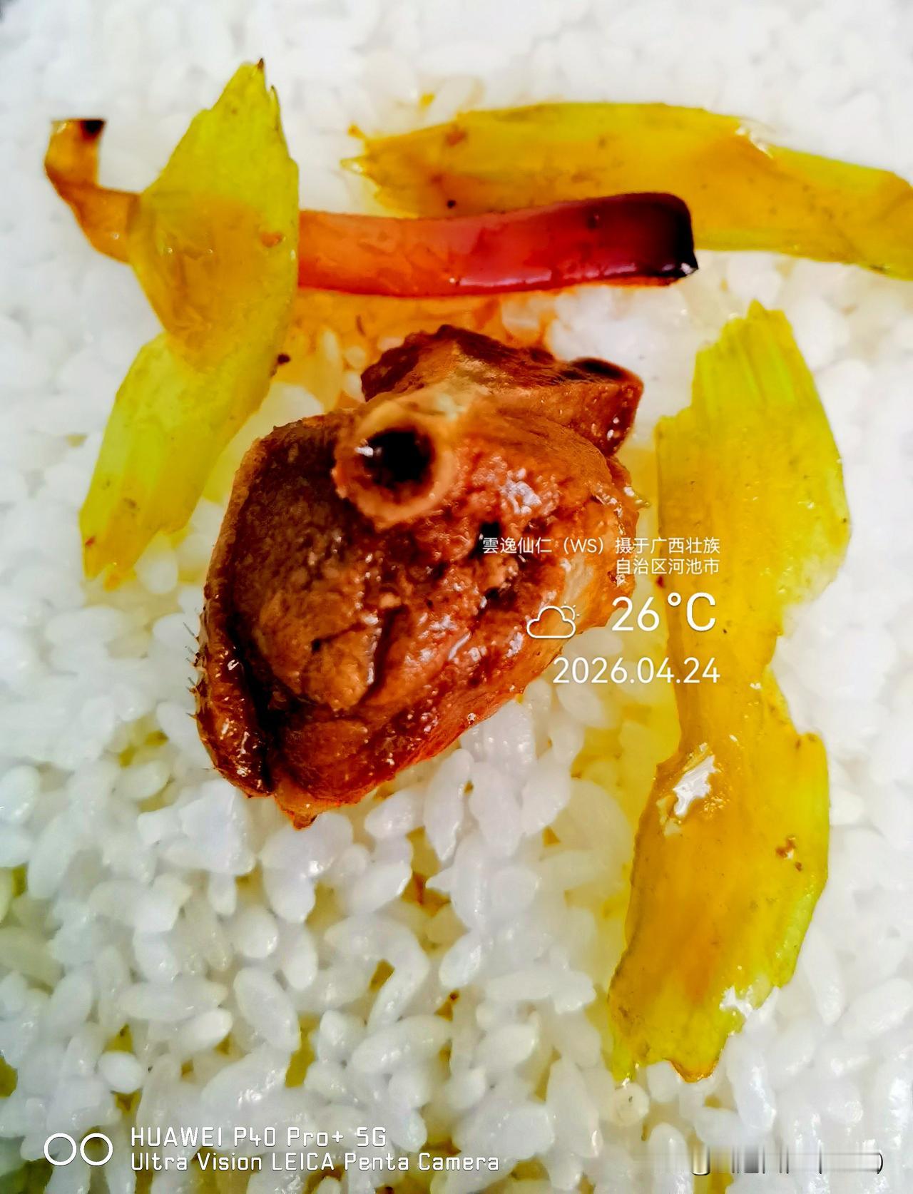 月居生活记录（9583）广西壮族自治区河池市（20）品尝小吃9：啤酒鸭（15.8