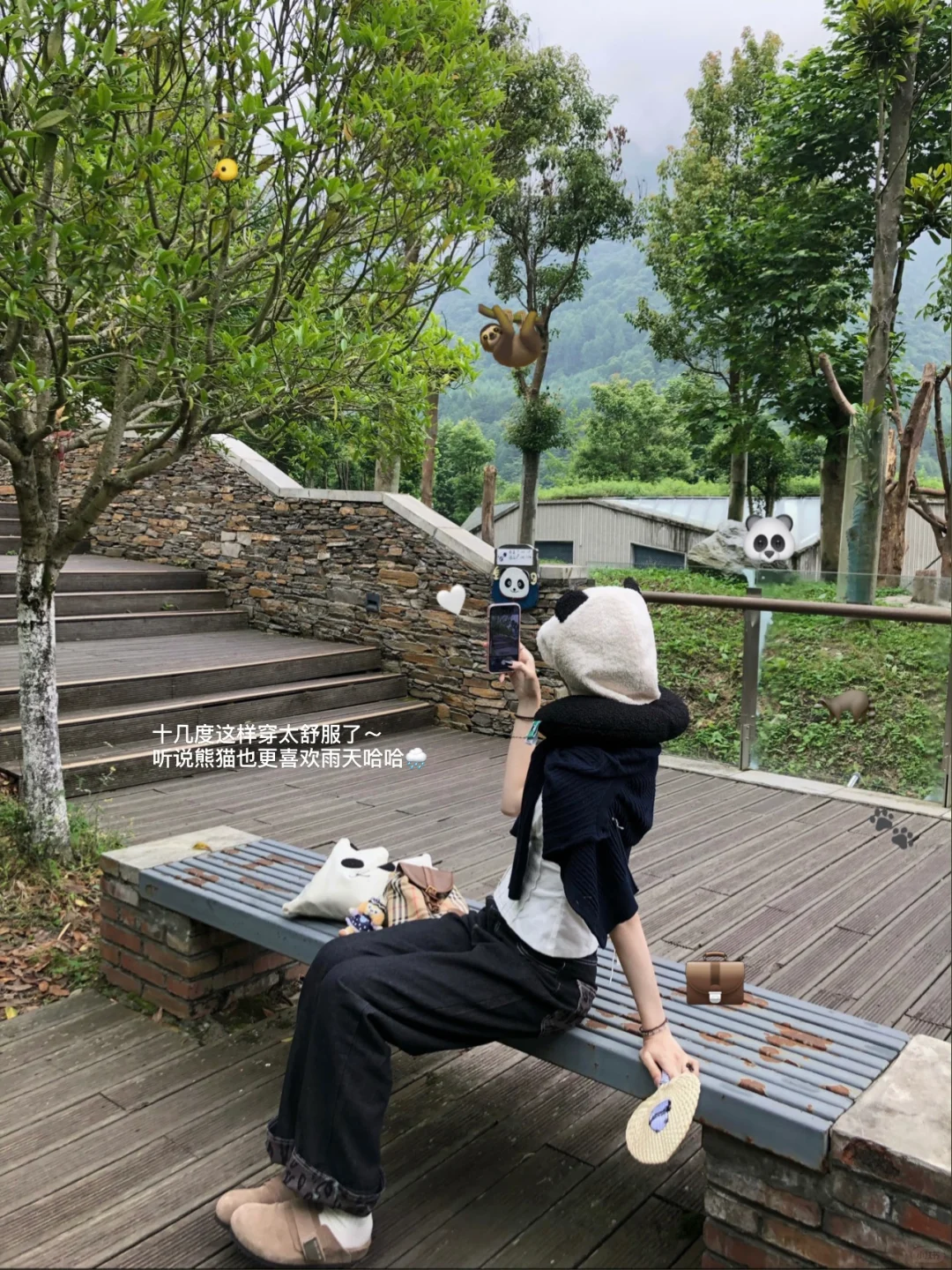🎋神树坪plog｜来看福宝了嘿嘿ʚ(*´꒳`*)ɞ🐼