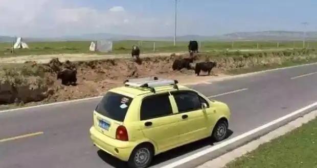 曾几何时，奇瑞QQ风靡全国，也曾出现在西藏的G318国道而让人羡慕不已，那是燃油