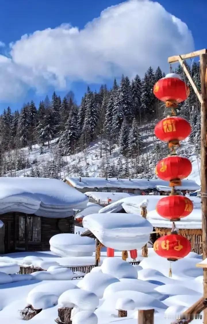雪满山林，红灯笼挂。过往皆为序章，来日方值期许