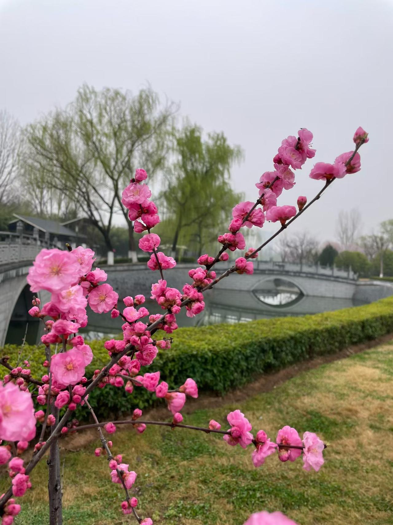 腐败校长真荒唐，护学岗上耍花样。
本该教师守路旁，偏把家长来推上。
护学责任全推