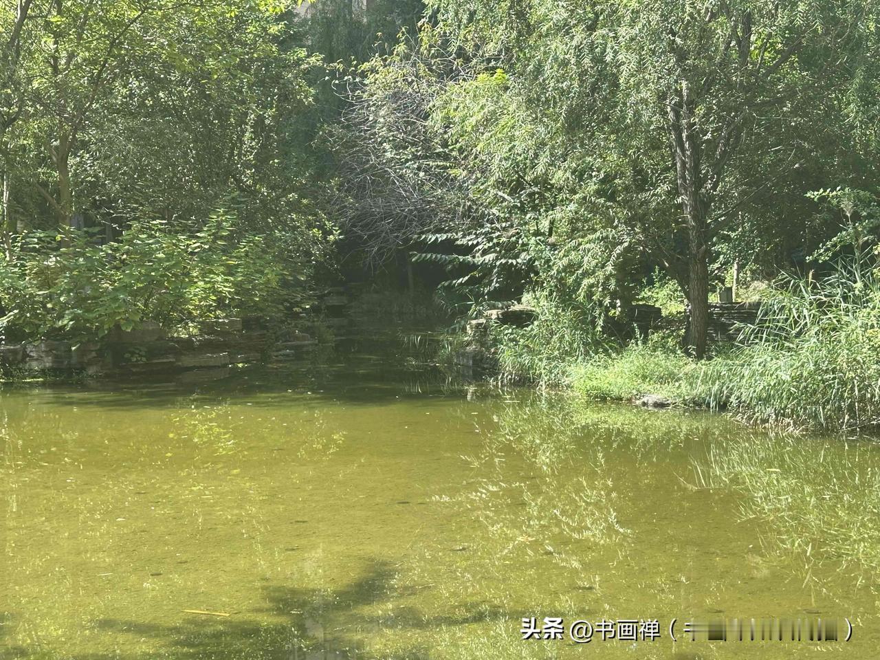 经历人生低谷哪能说放弃就放弃啊，咬着牙熬过去，光真的会慢慢透进来。
前两年行业大