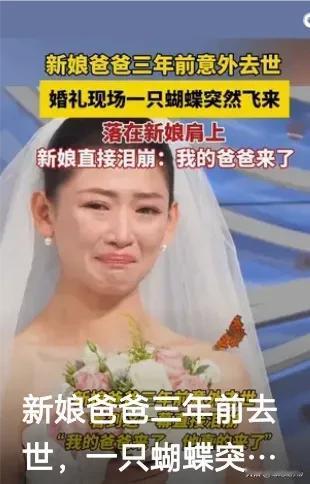 你相信缘分吗？婚礼上这不可思议的一幕，让所有人都屏住了呼吸！新娘缓缓步入殿堂，突